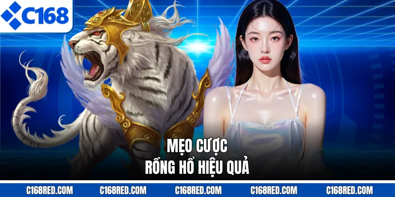 Mẹo cược rồng hổ hiệu quả